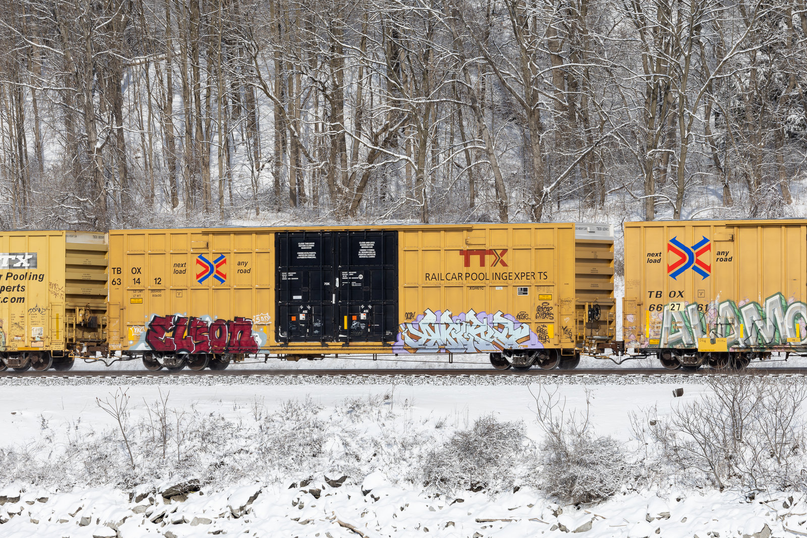 TBOX 631412