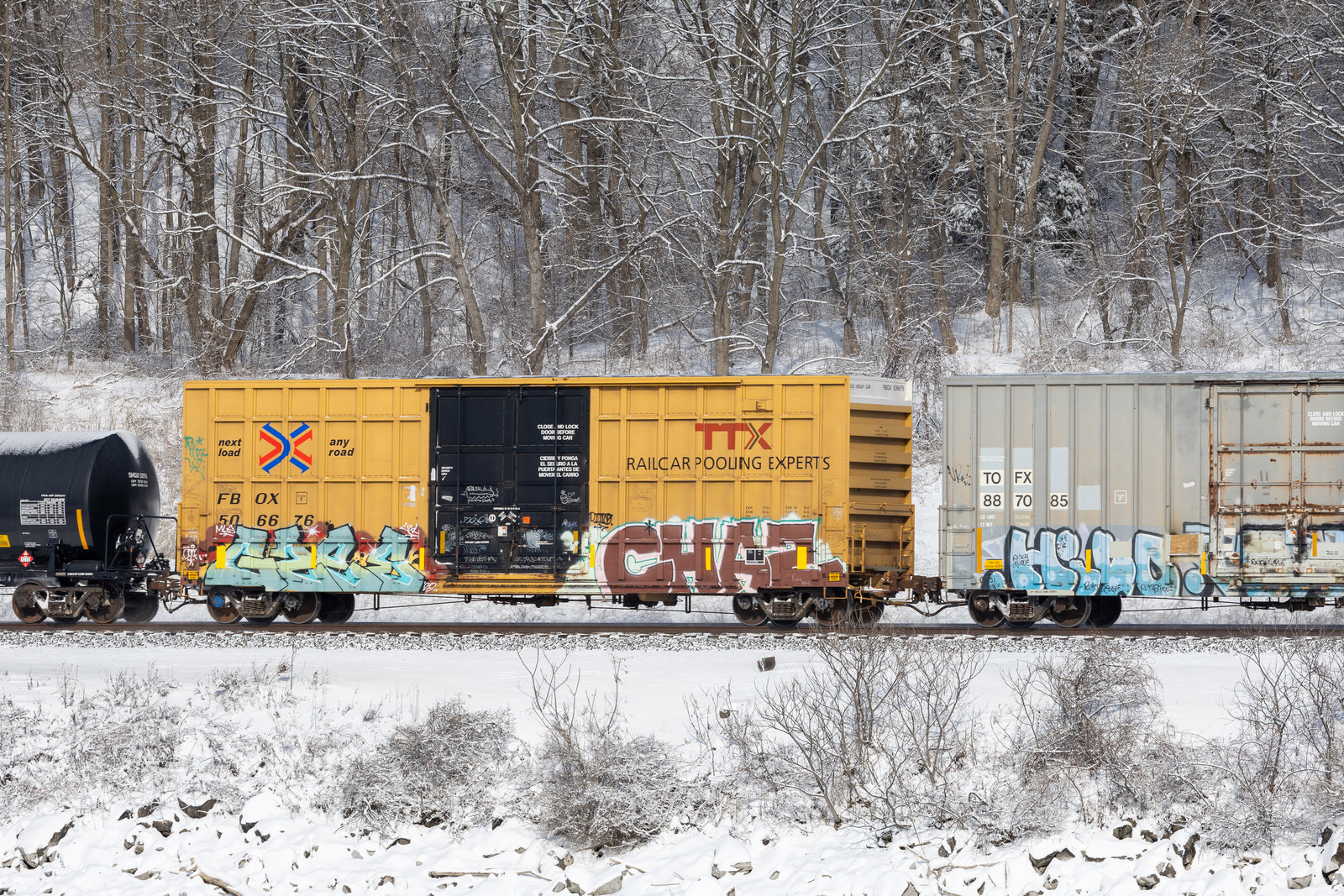 FBOX 506676