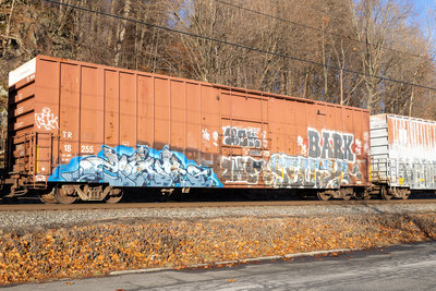 TR 18255