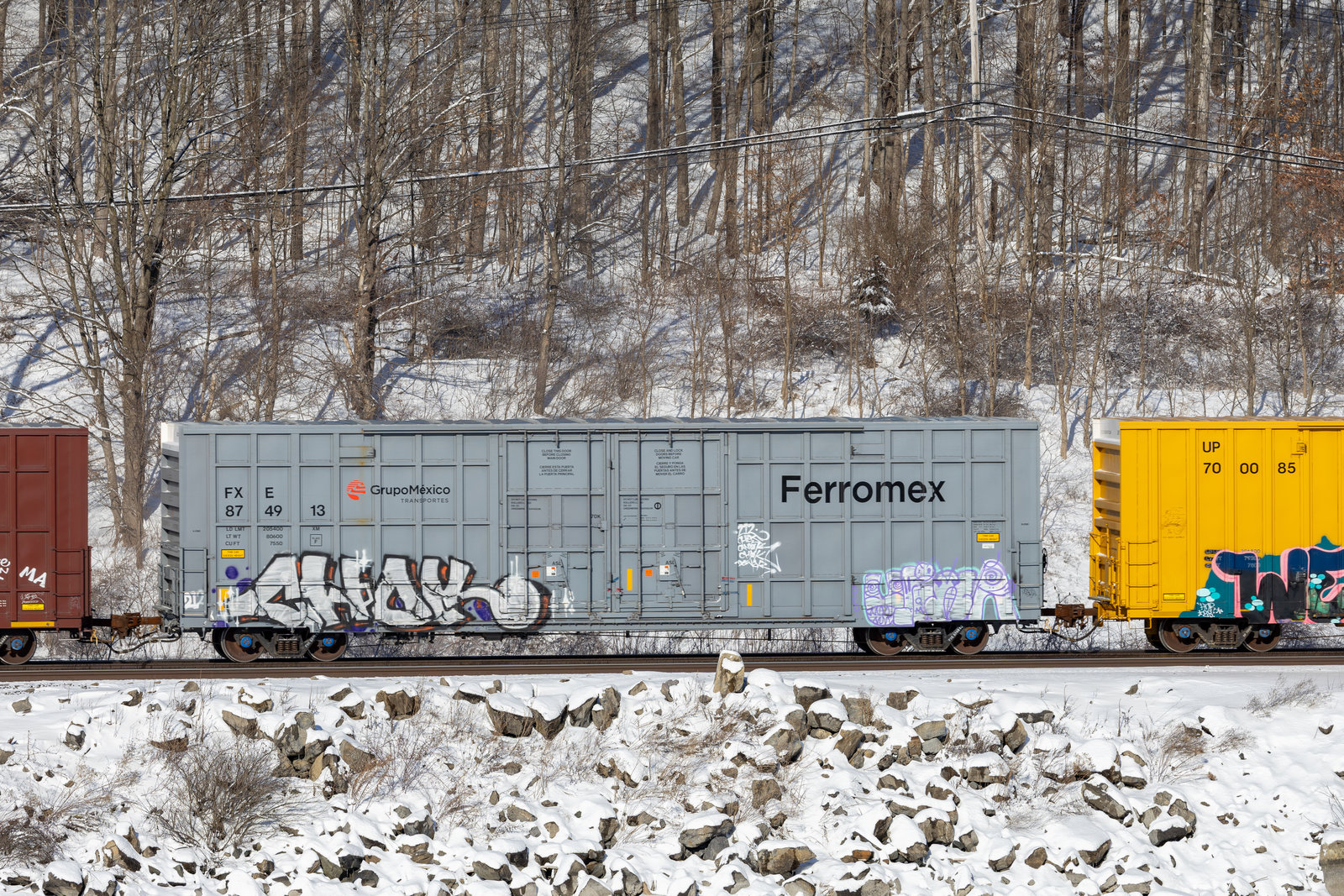 FXE 874913