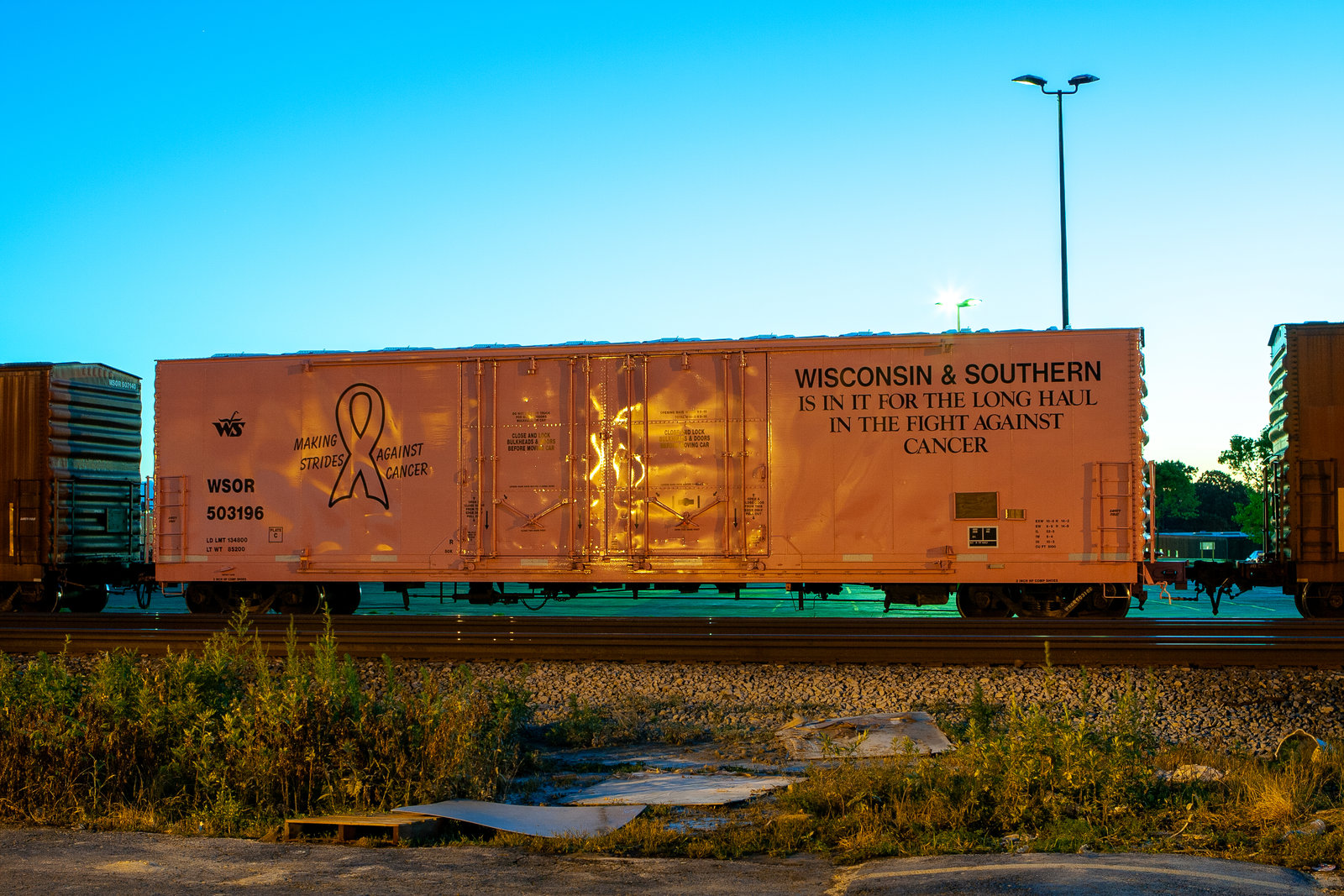WSOR 503196