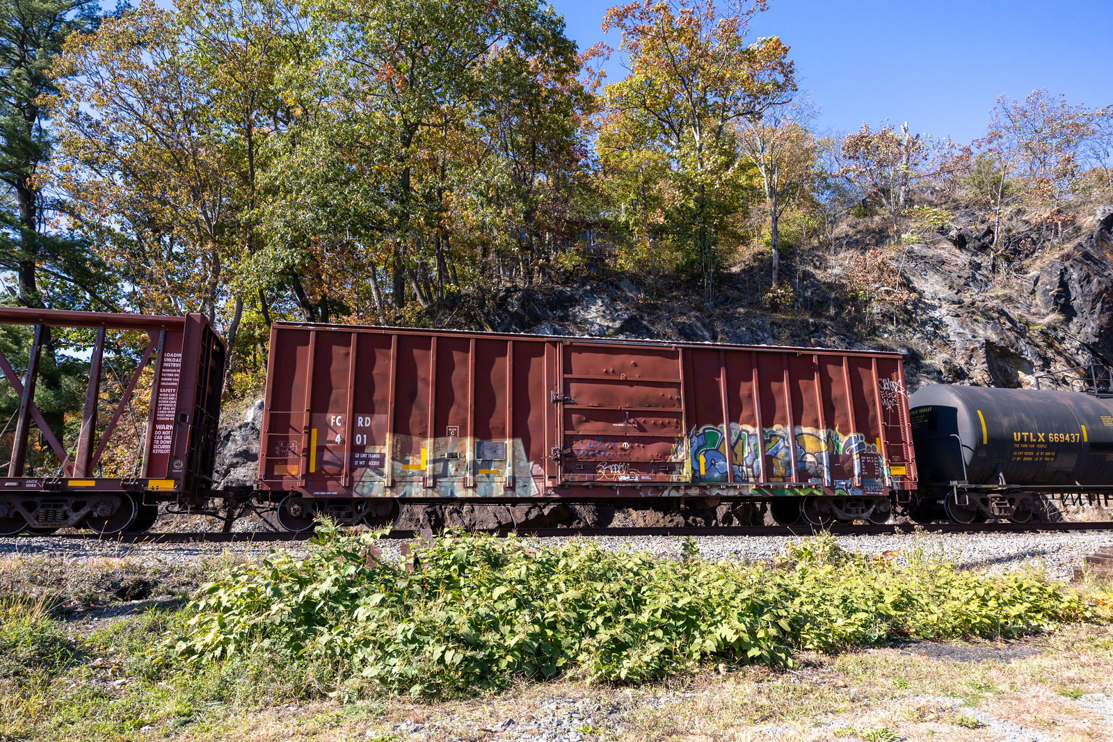 FCRD 401