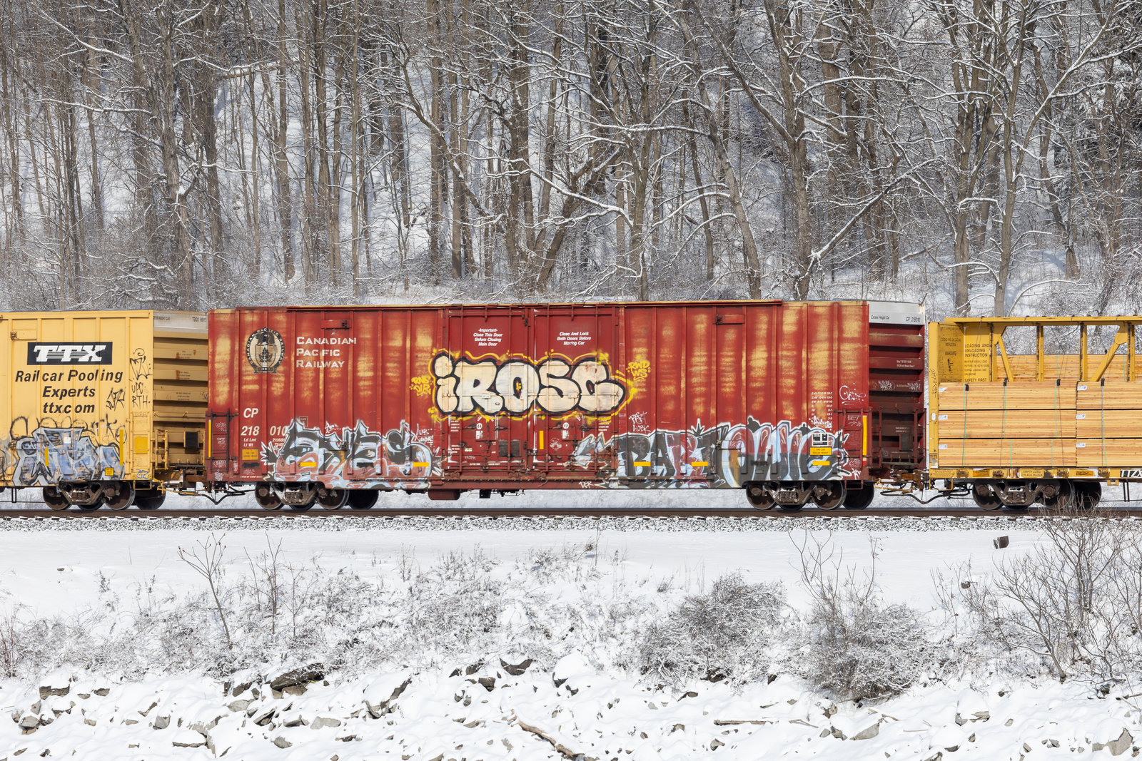 CP 218010