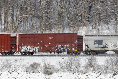 IC 21049