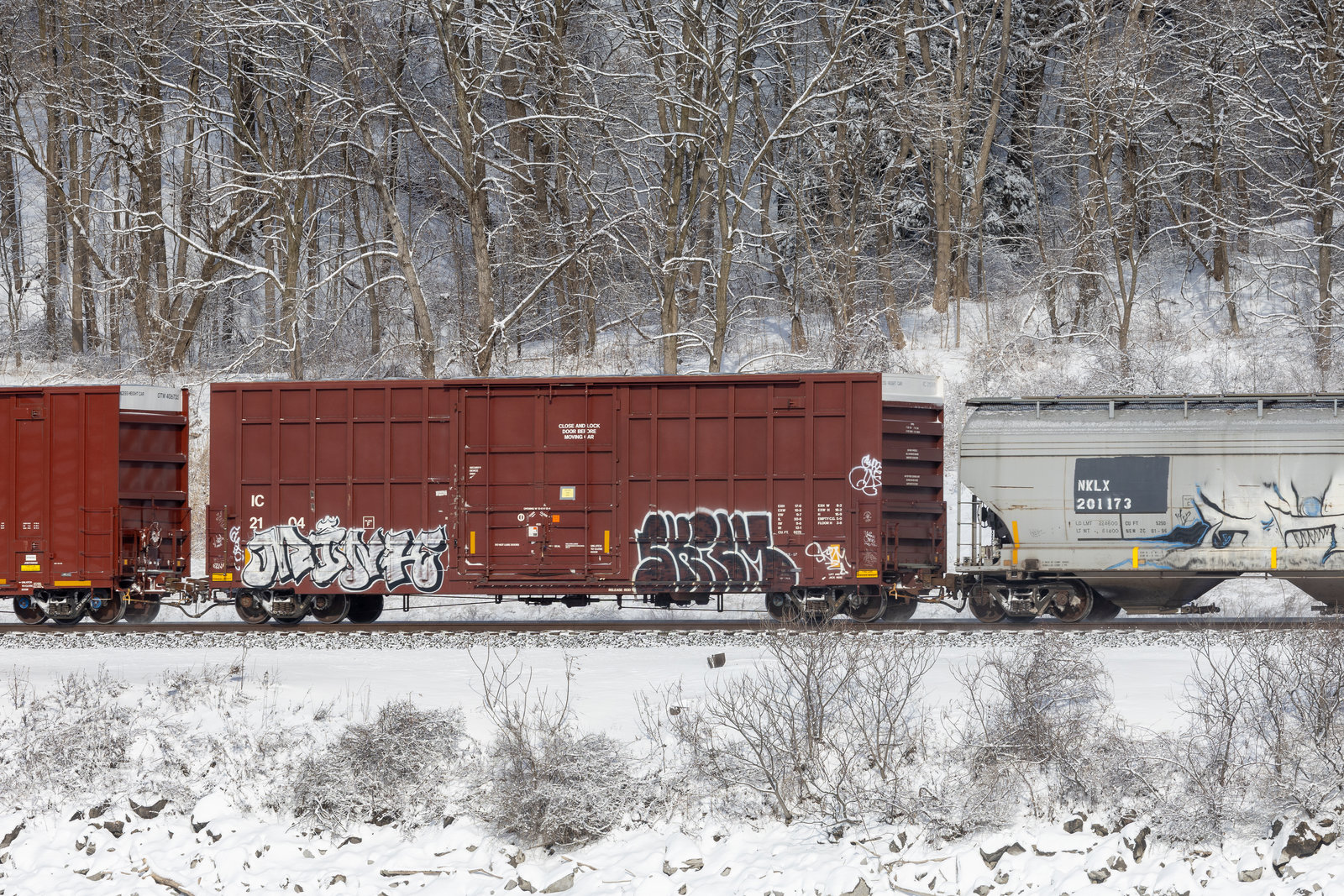 IC 21049