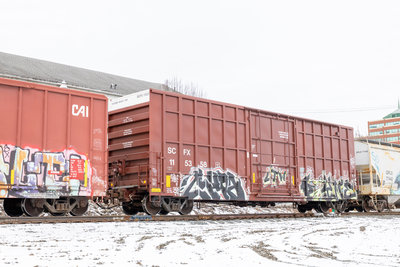 SCFX 115358