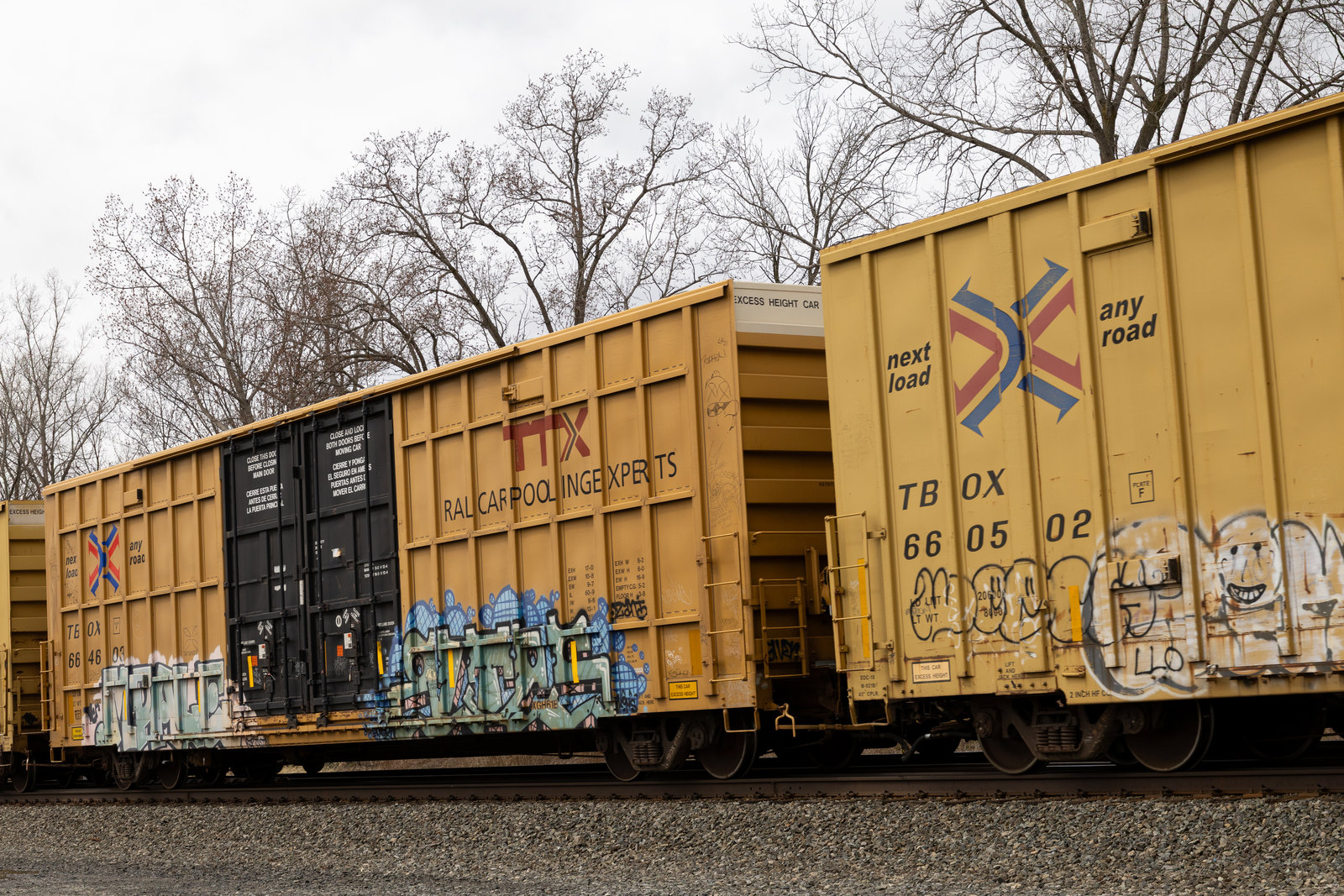TBOX 664603