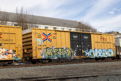 TBOX 663712