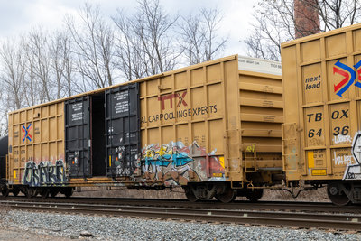 TBOX 664248