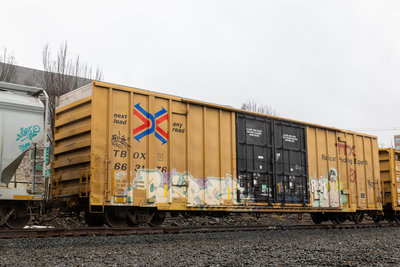 TBOX 663176