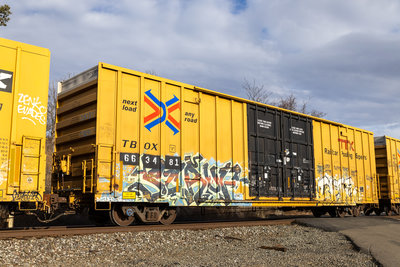 TBOX 663481