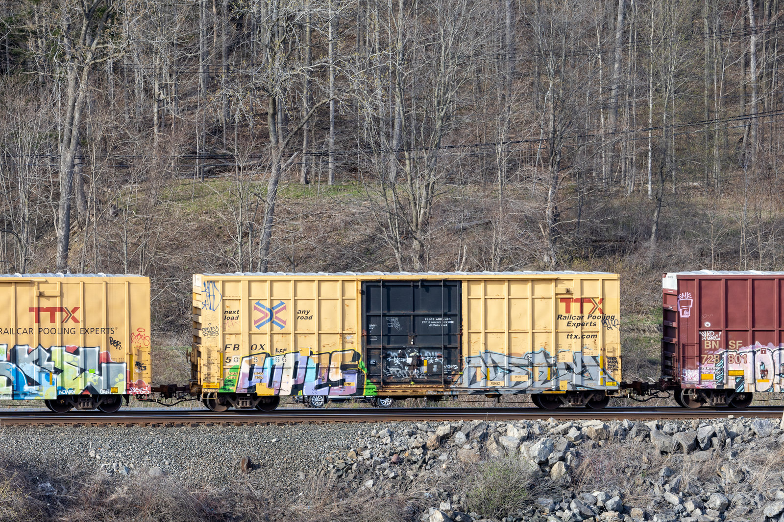 FBOX 505166