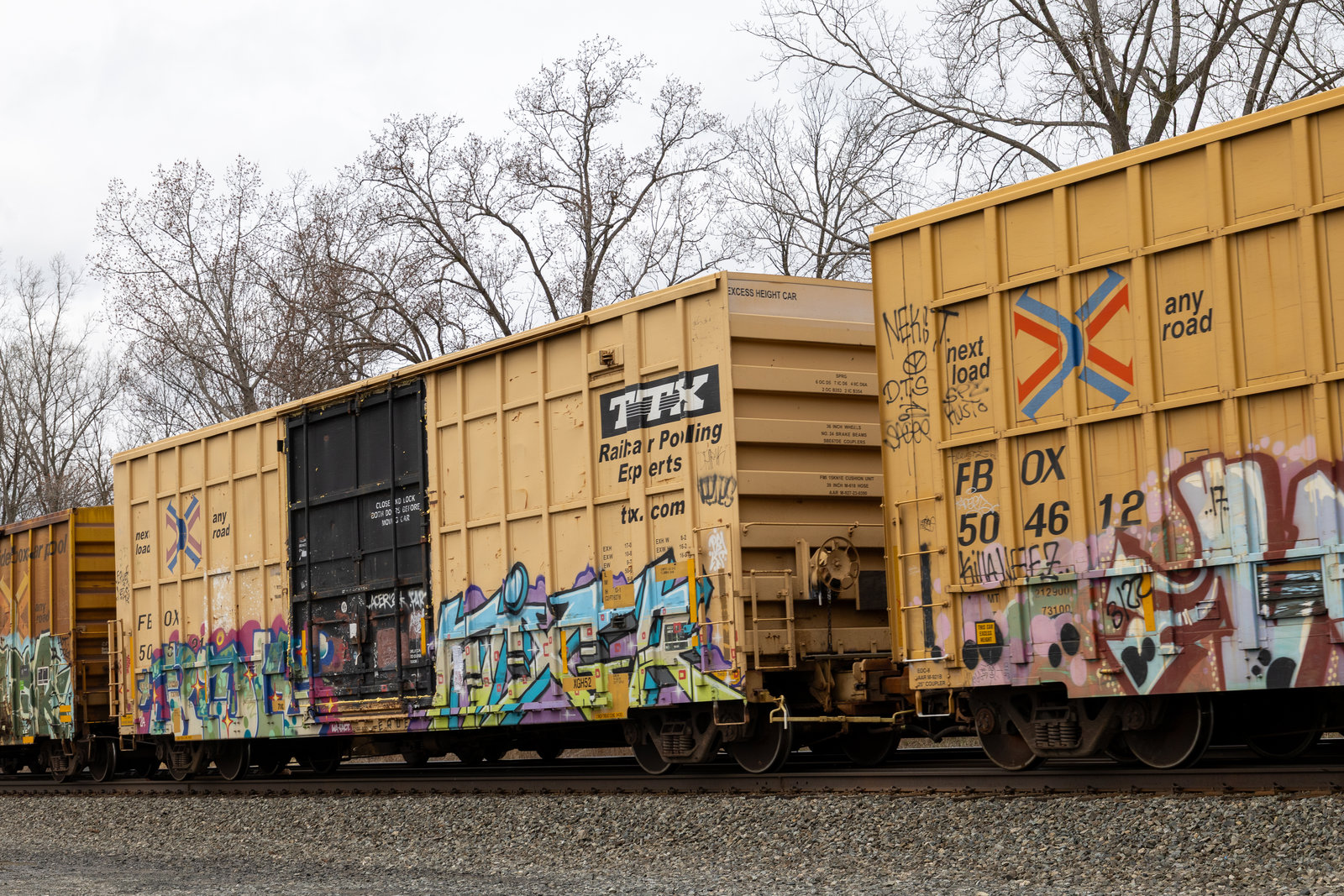 FBOX 505121