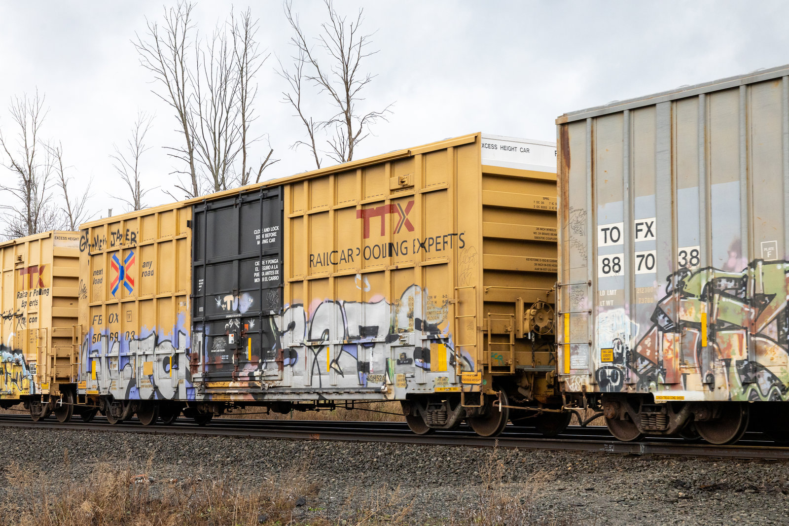 FBOX 506903