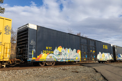 NYC 297634