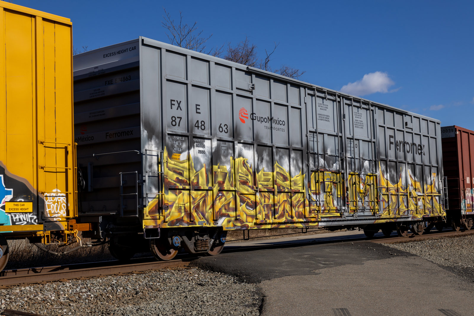 FXE 874863