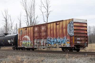 CP 218060