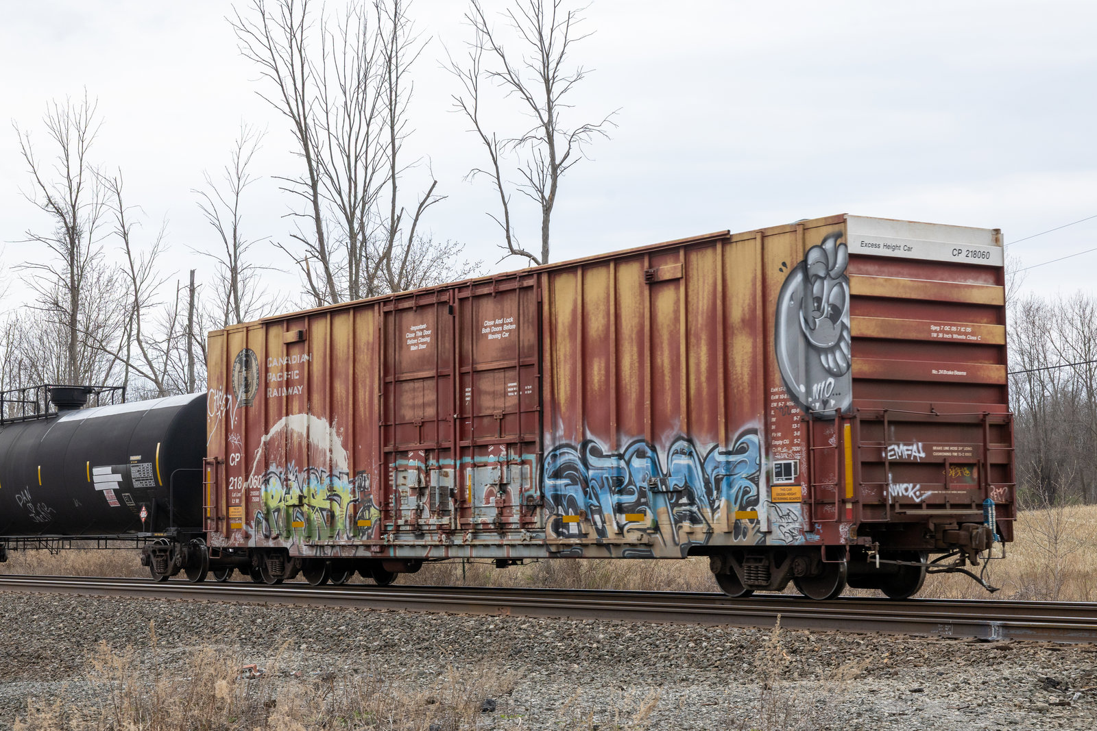 CP 218060