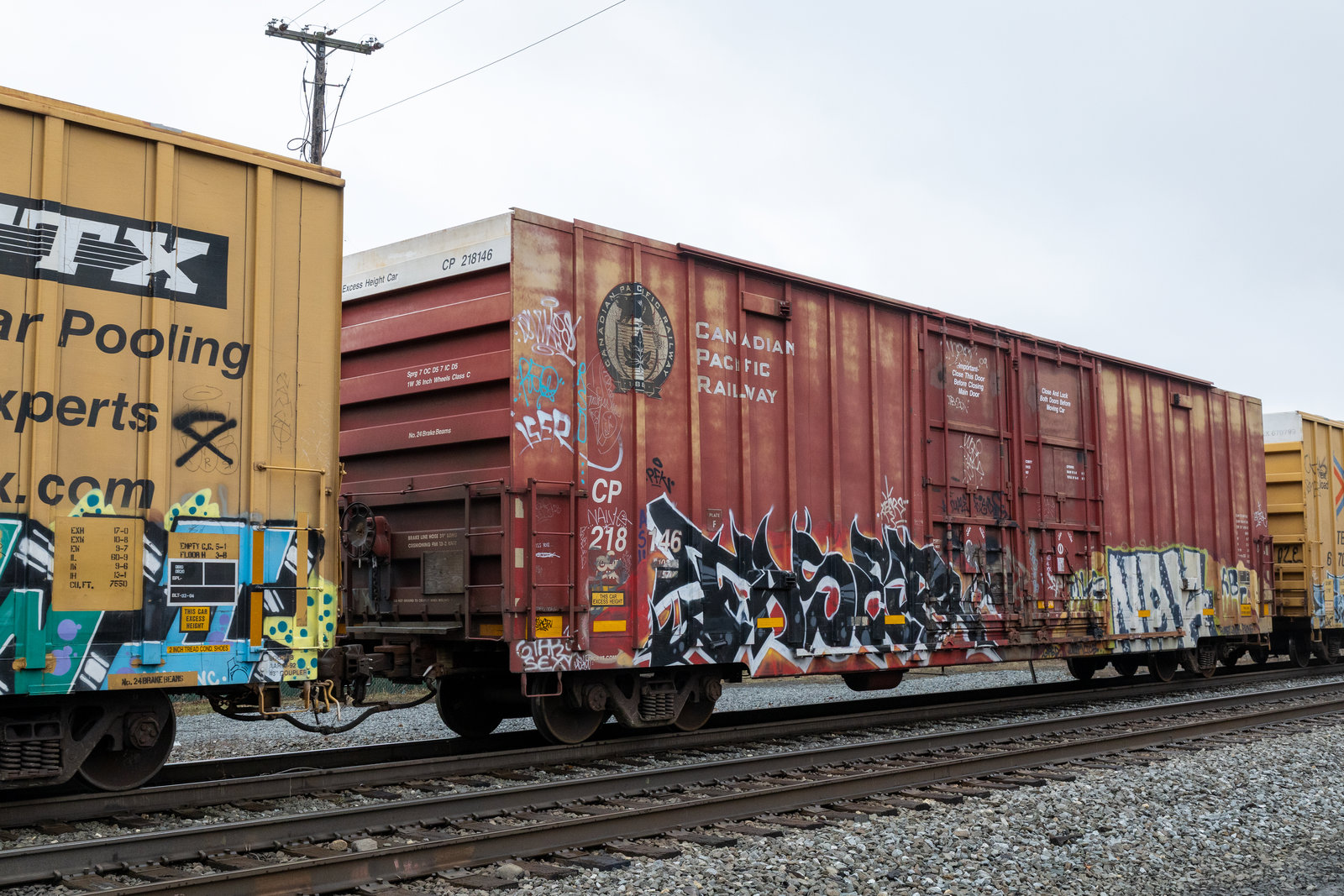 CP 218146