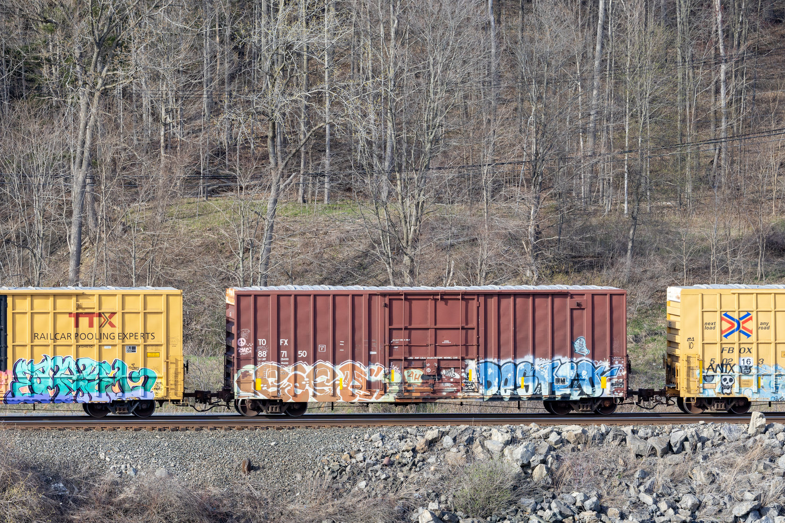 TOFX 887150