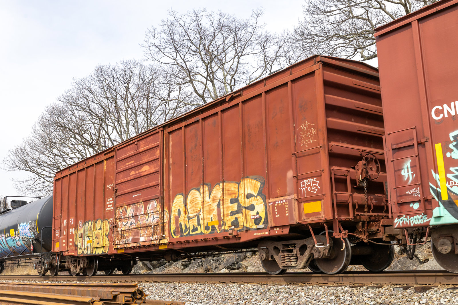 WFRX 61291