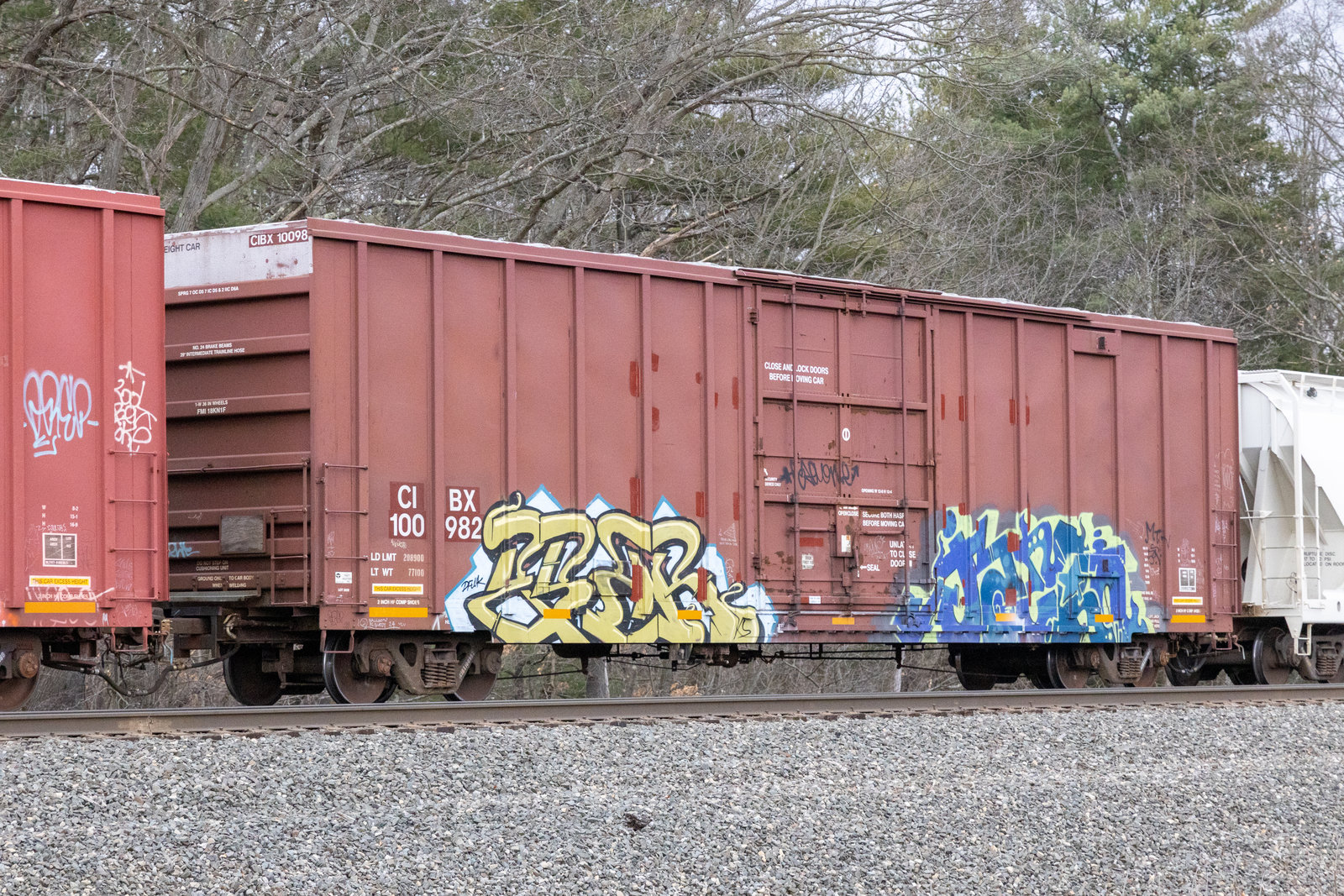 CIBX 100982
