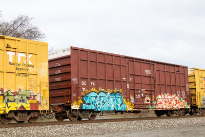 SCFX 115479