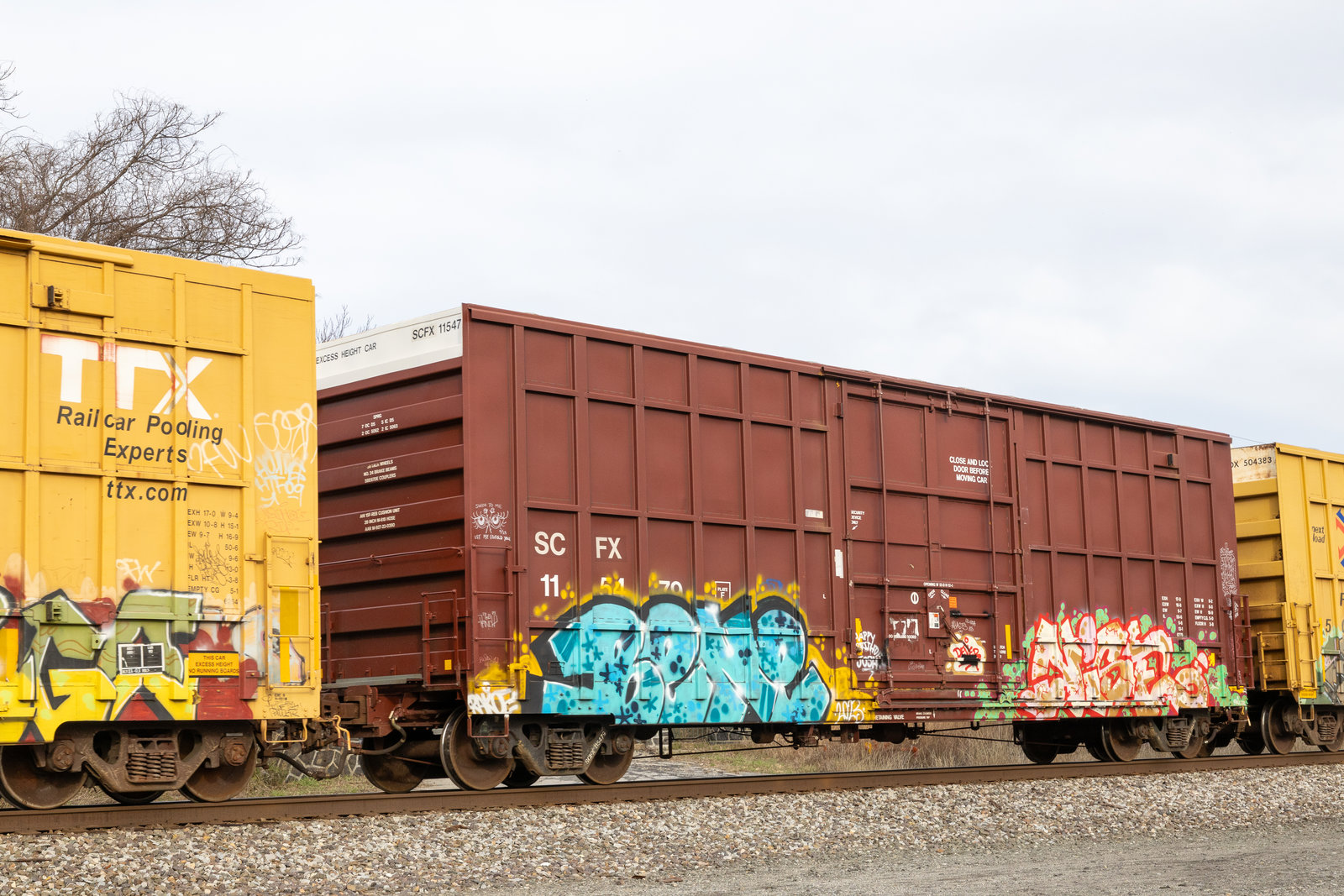 SCFX 115479