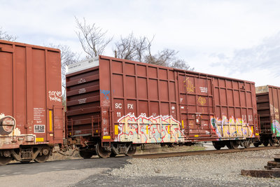 SCFX 115489