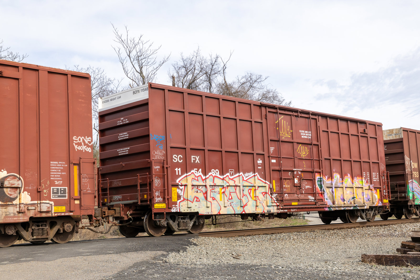 SCFX 115489