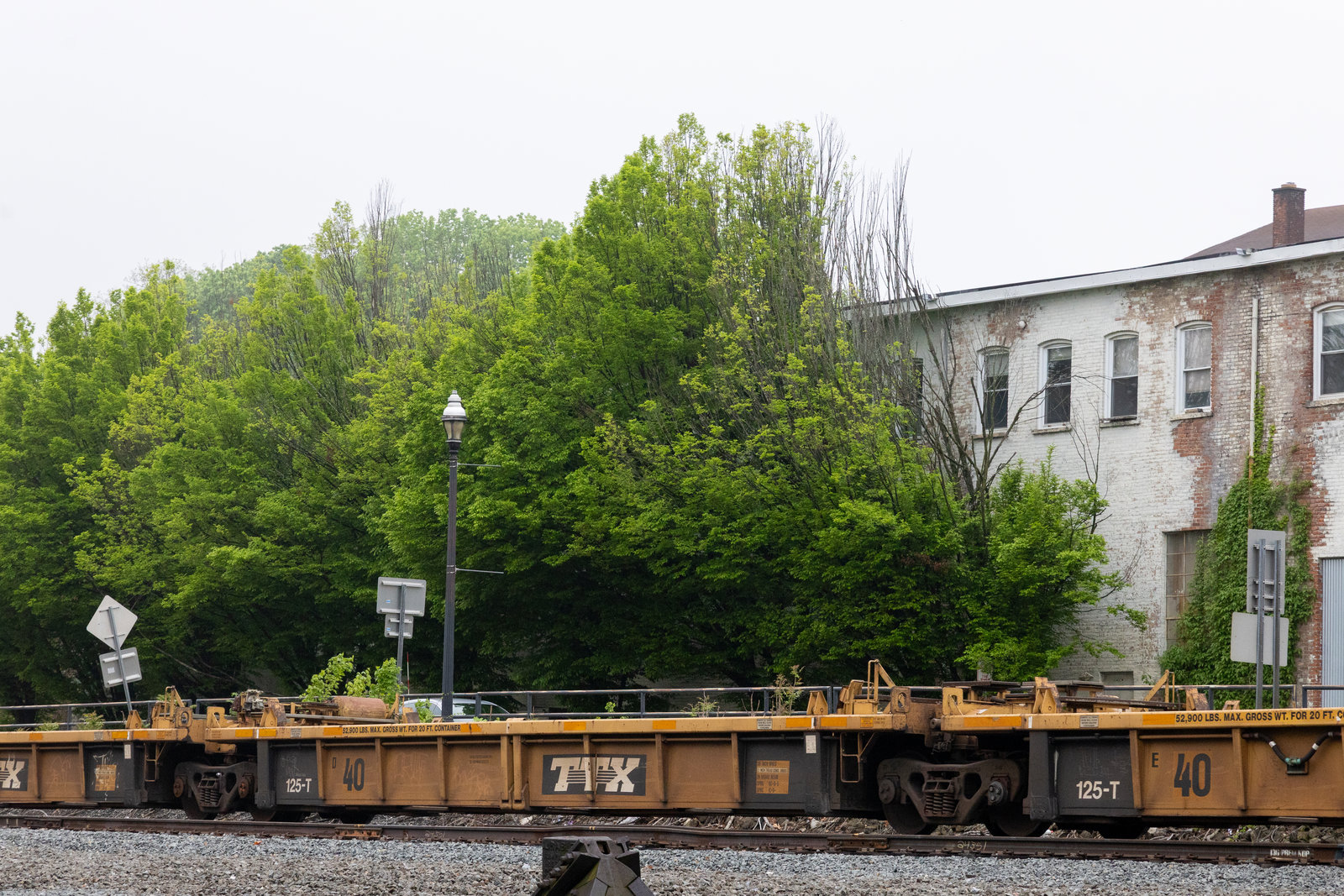DTTX 749185D