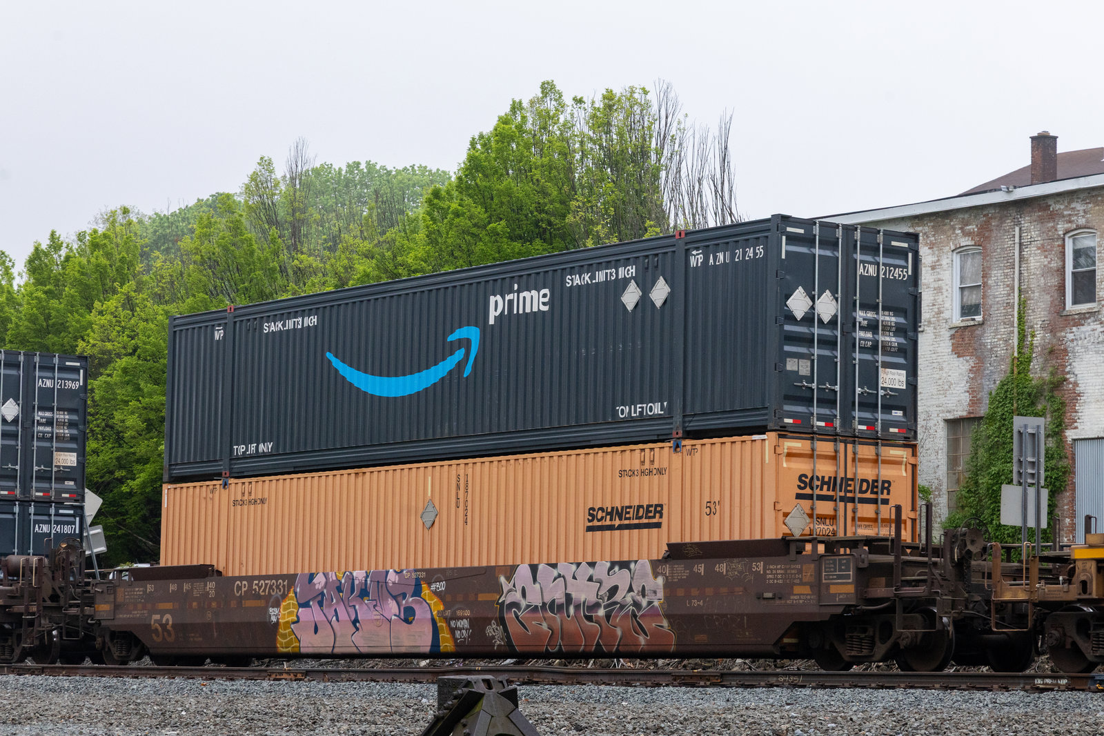 CP 527331