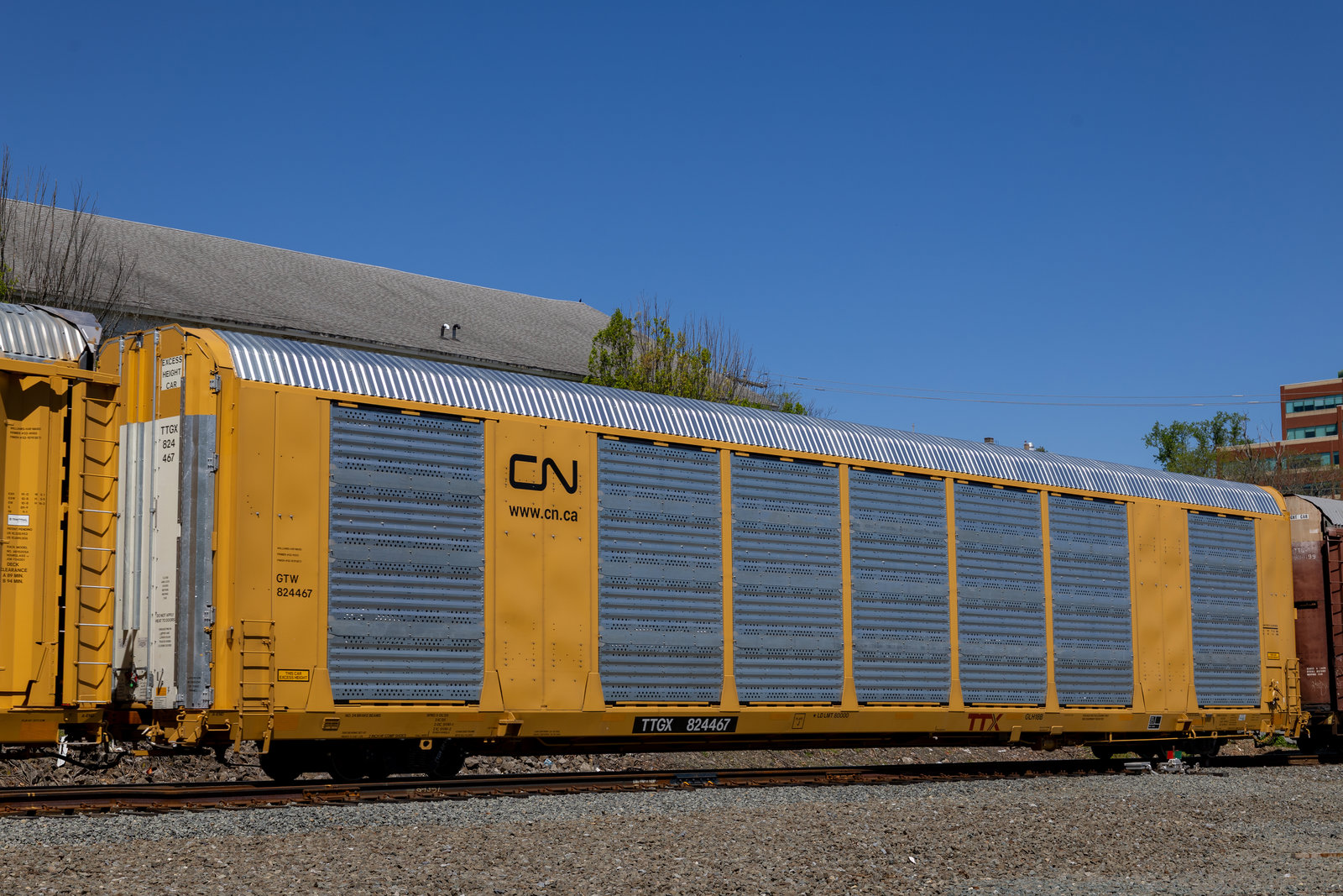 TTGX 824467