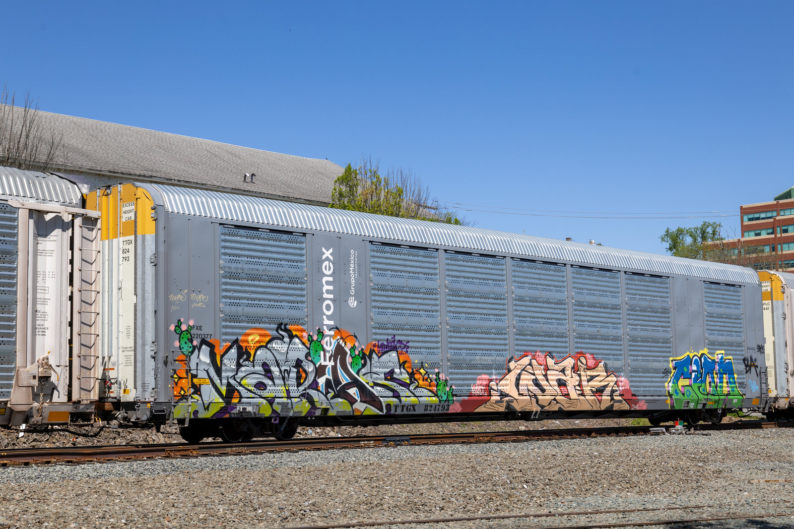 TTGX 824793