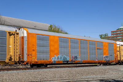 TTGX 696245