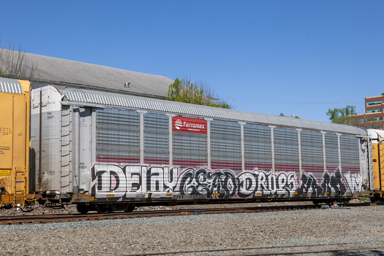 TTGX 705597