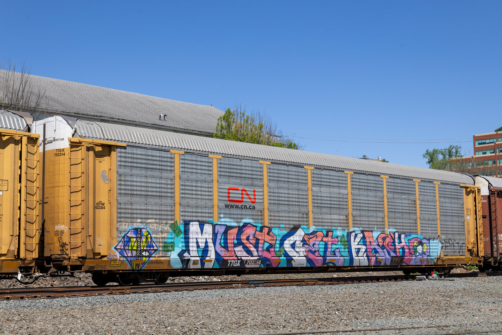 TTGX 702314
