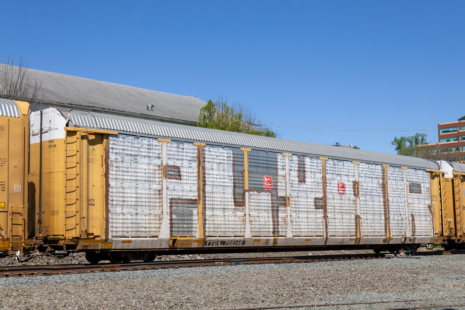 TTGX 705146