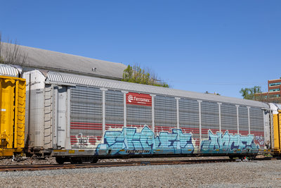 TTGX 706877