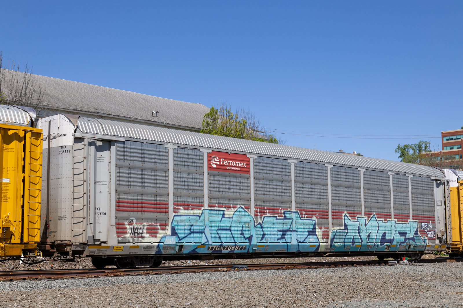 TTGX 706877