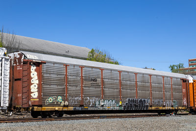 TTGX 980244