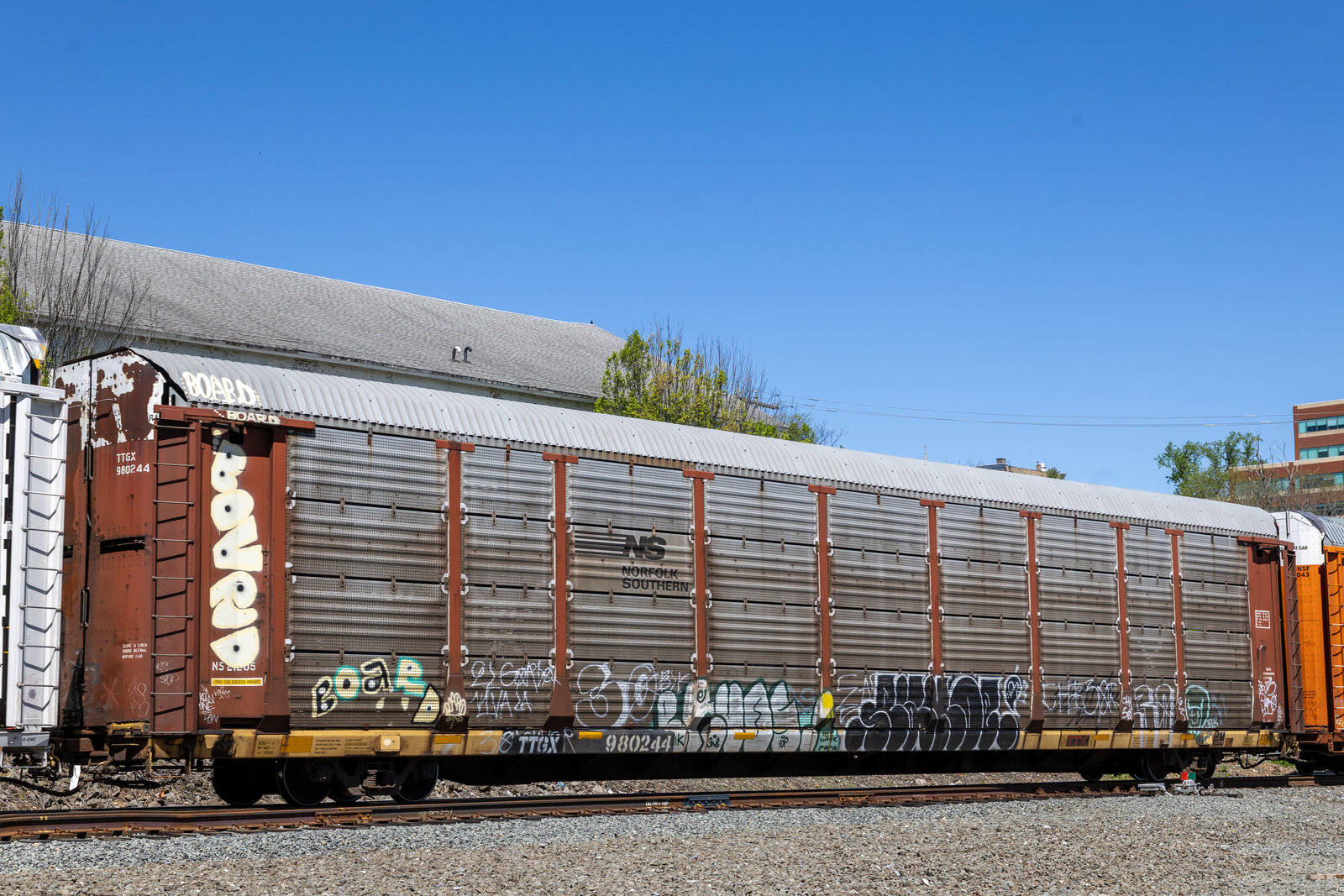 TTGX 980244