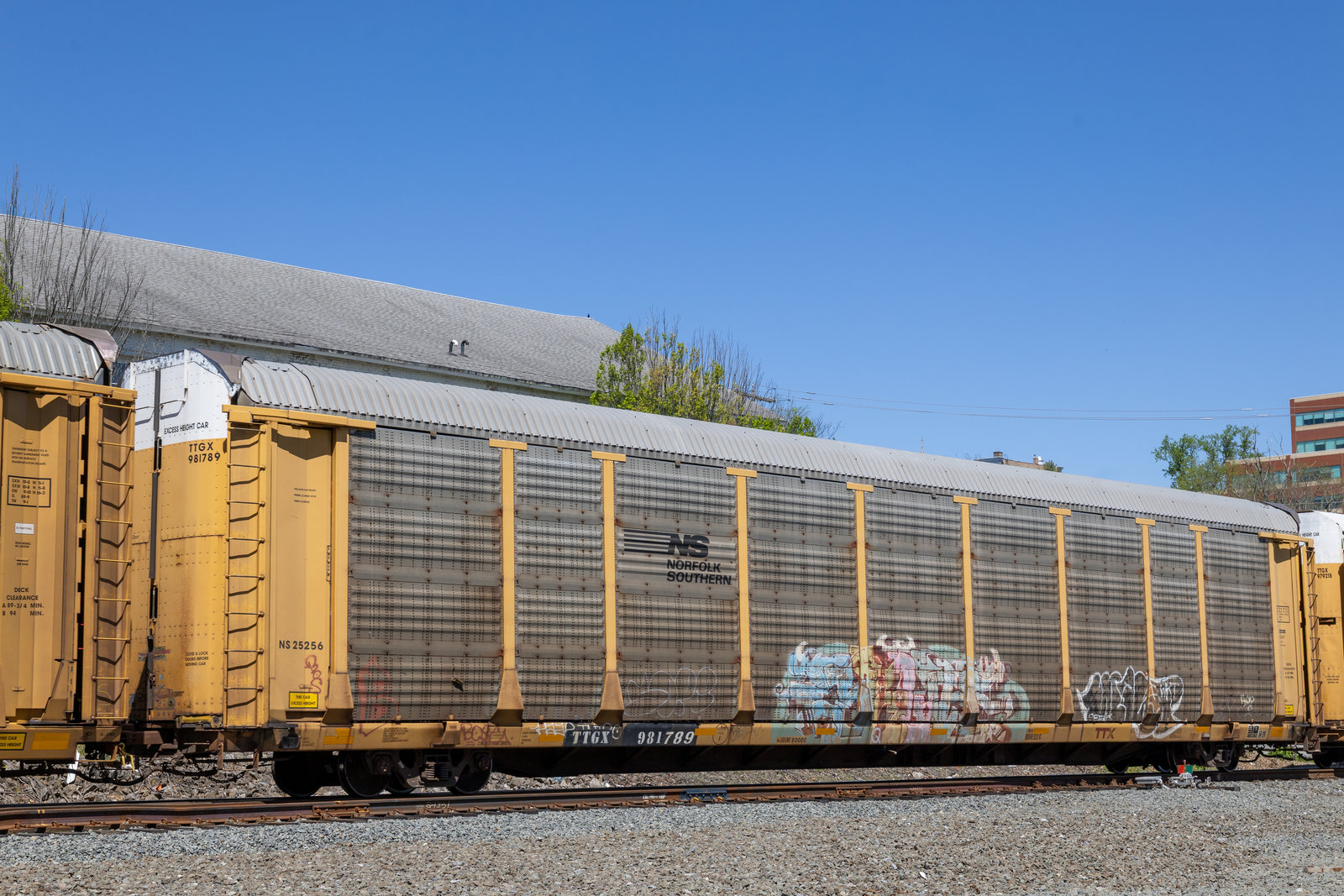 TTGX 981789