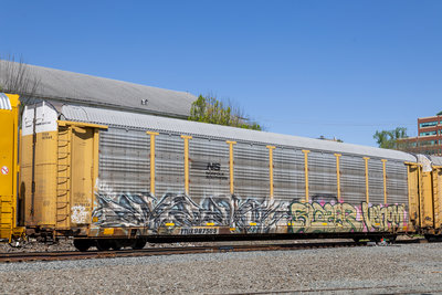 TTGX 987565