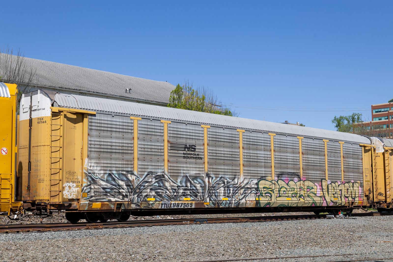 TTGX 987565