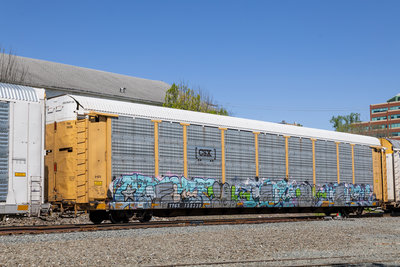 TTGX 158338