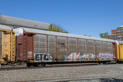 TTGX 983124