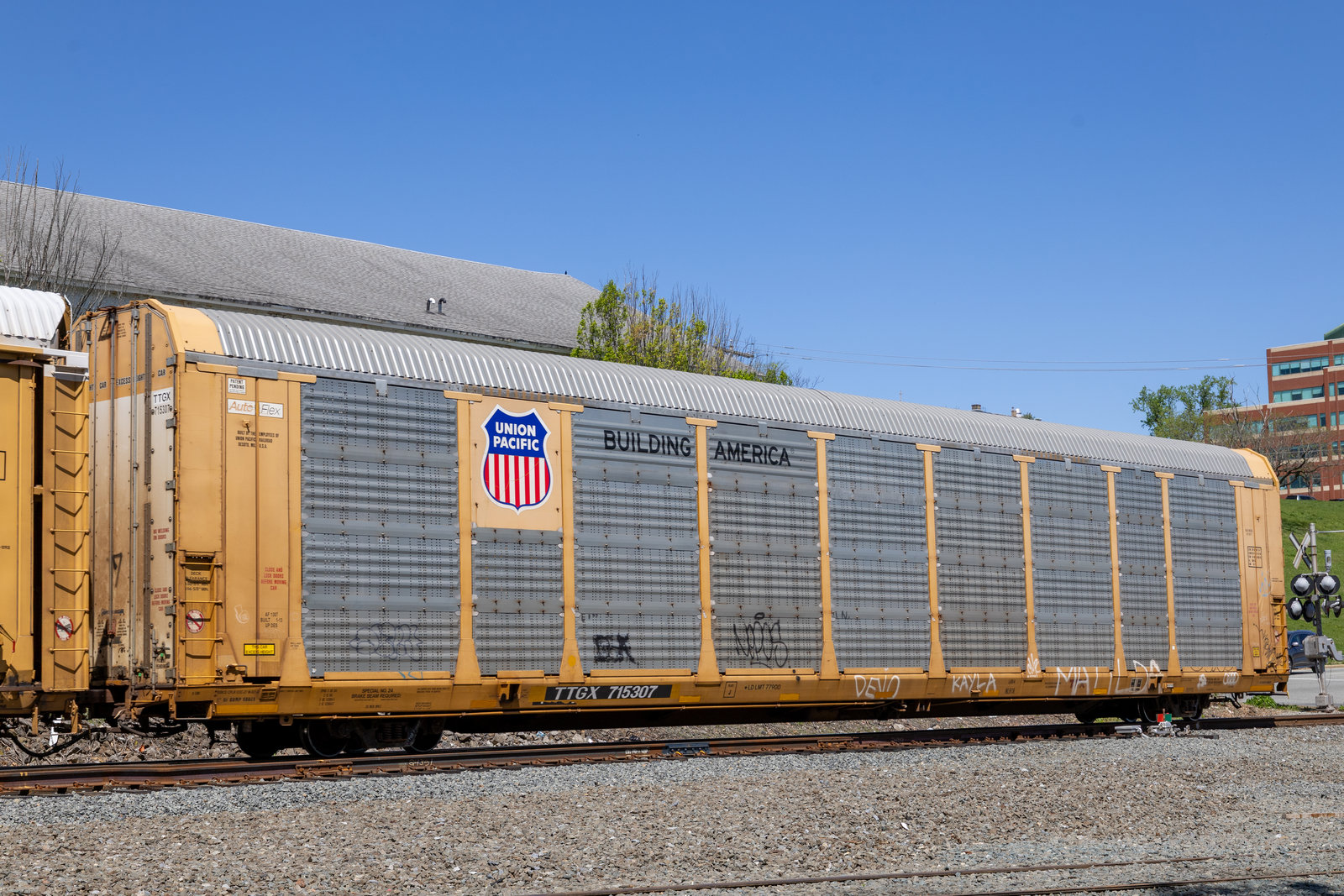 TTGX 715307