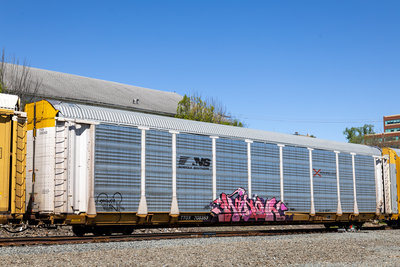 TTGX 708353