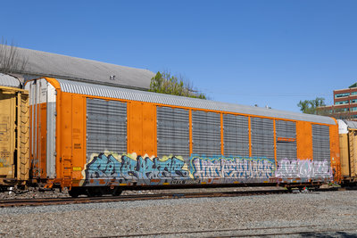 CTTX 695060